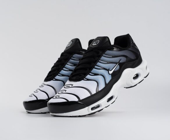 Nike Air Max Plus TN разноцветные 44443